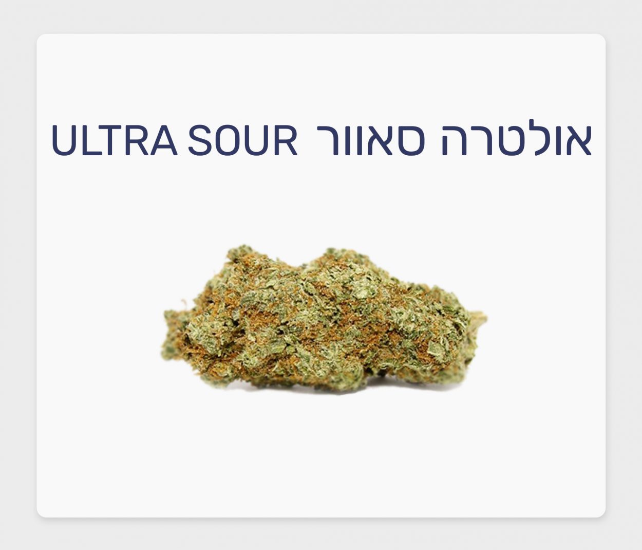 סקירת זן – תפרחת אולטרה סאוור T20/C4 סאטיבה