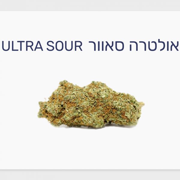 סקירת זן – תפרחת אולטרה סאוור T20/C4 סאטיבה