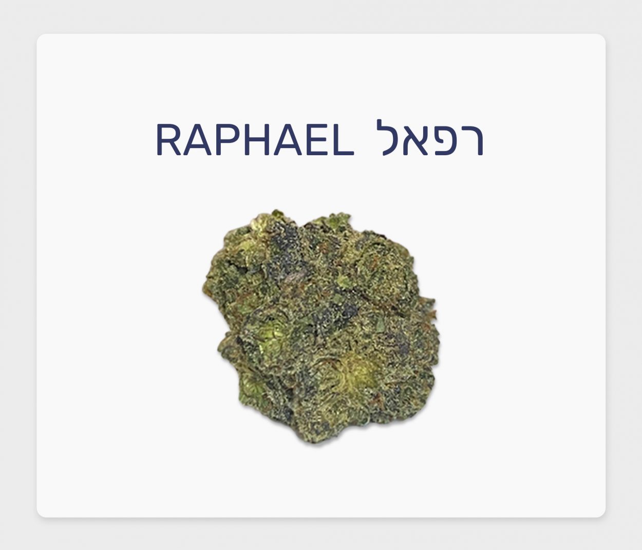 סקירת זן – תפרחת רפאל T20\C4 אינדיקה