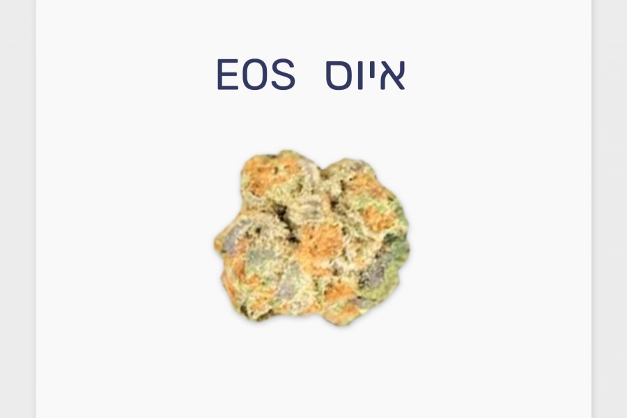 סקירת זן – תפרחת איוס T20/C4 היברידי