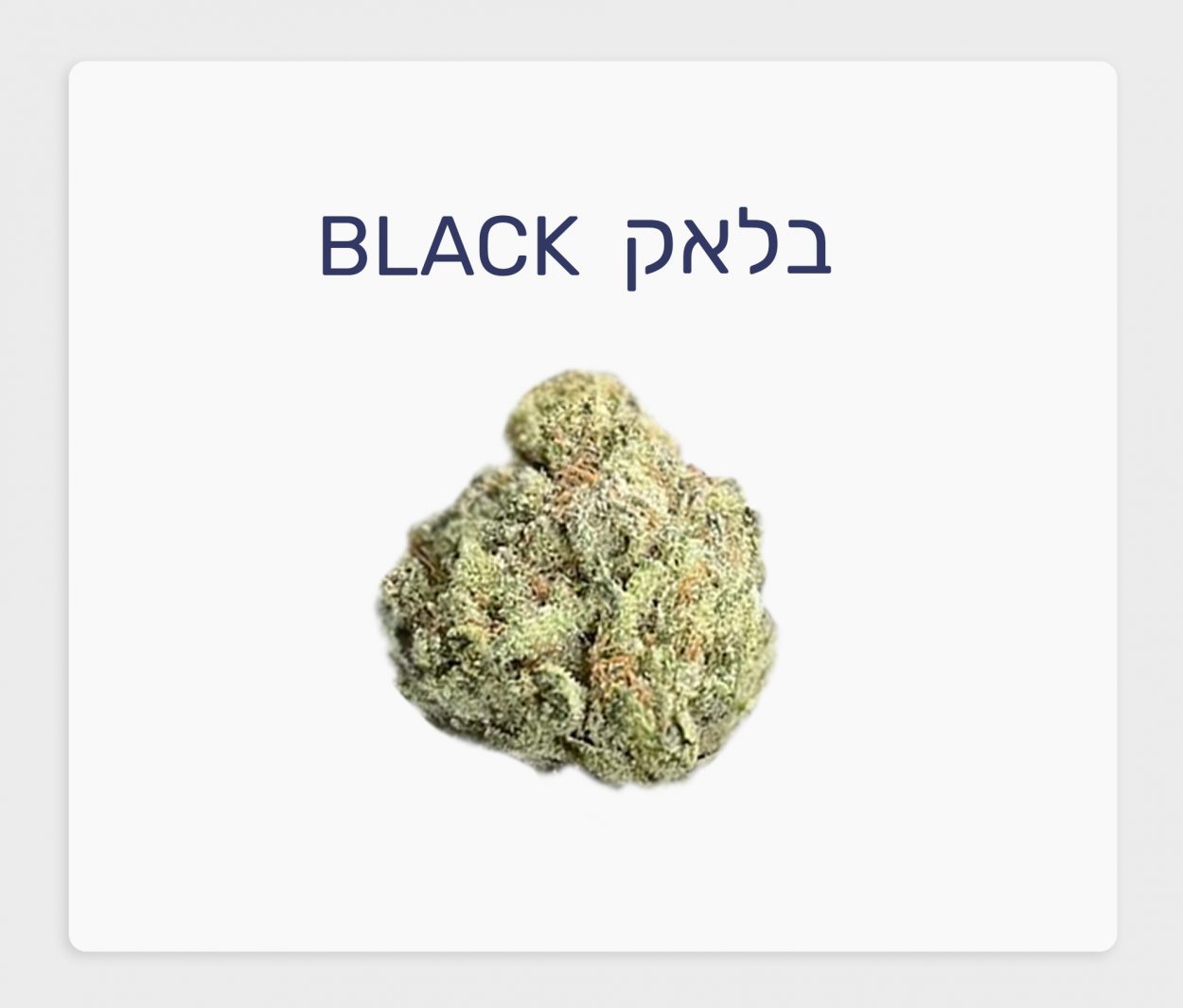 סקירת זן – תפרחת בלאק T4\C20 אינדיקה