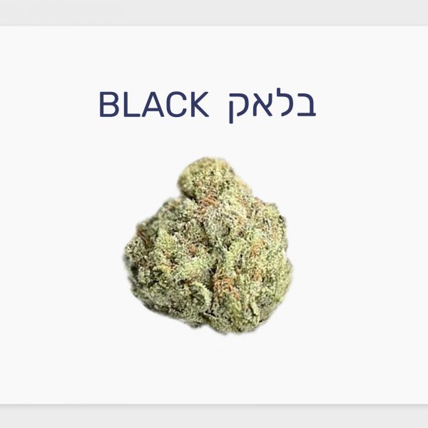 סקירת זן – תפרחת בלאק T4\C20 אינדיקה