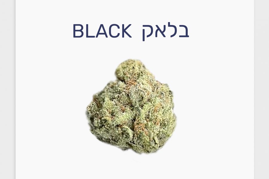 סקירת זן – תפרחת בלאק T4\C20 אינדיקה