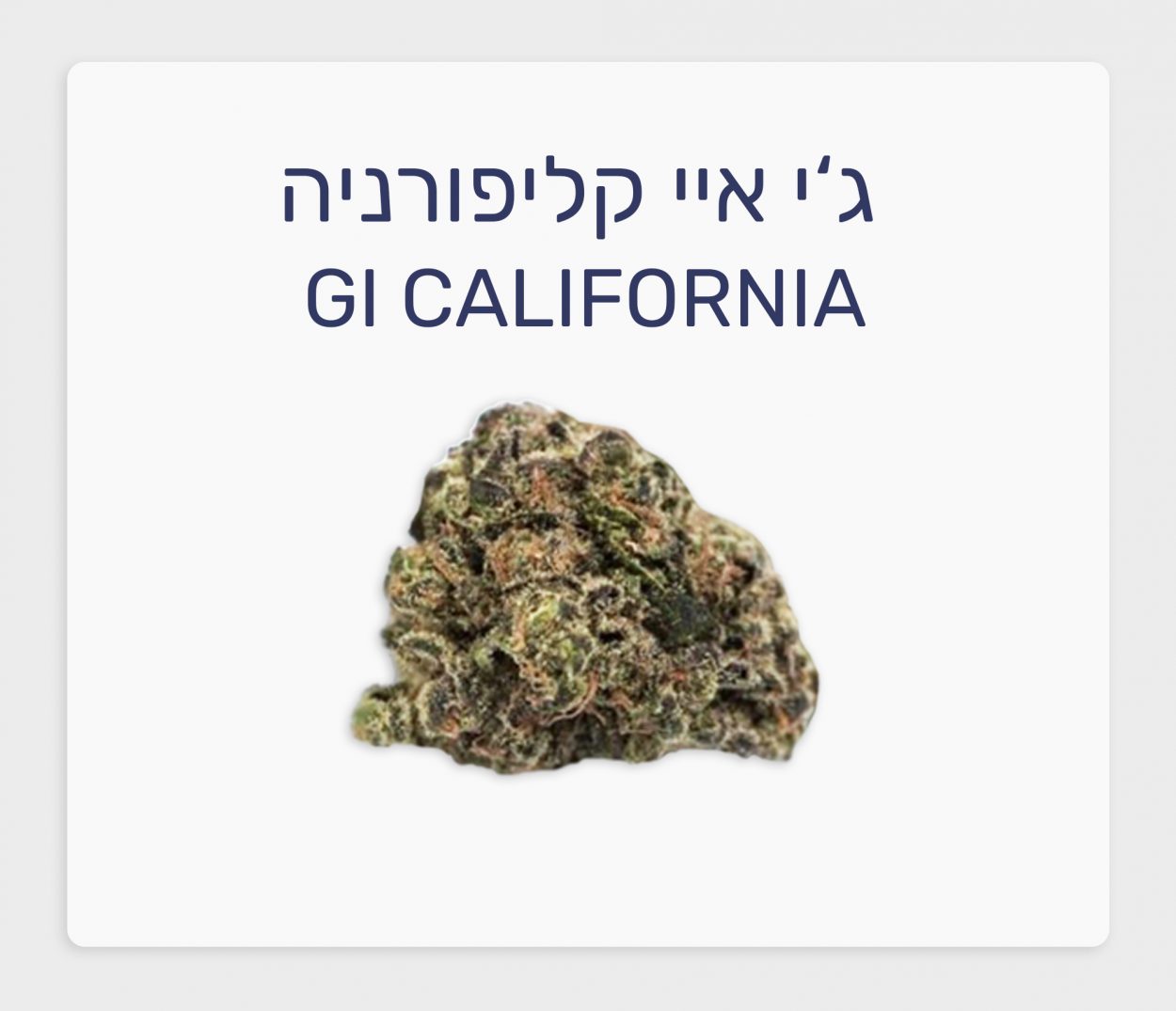 סקירת זן – ג'י איי קליפורניה T20/C4 היברידי