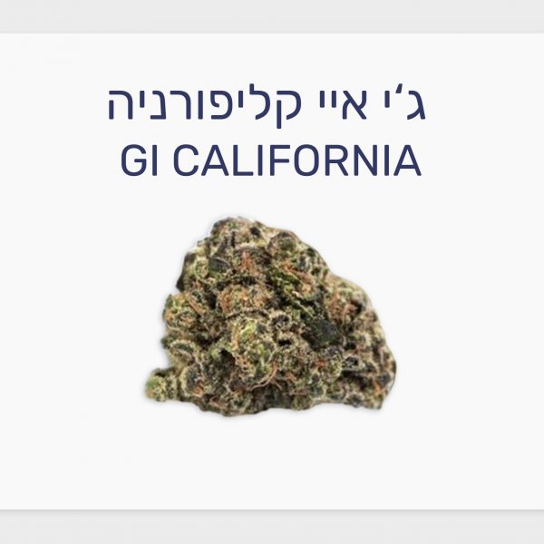 סקירת זן – ג'י איי קליפורניה T20/C4 היברידי