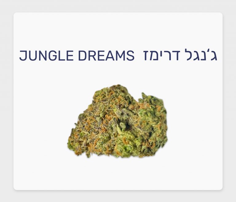 סקירת זן – תפרחת ג'נגל דרימז T20/C4 אינדיקה