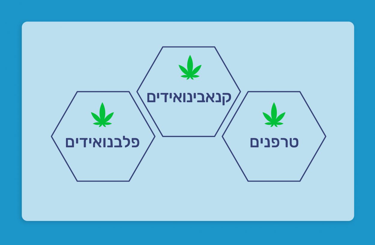 מהו אפקט הפמליה?