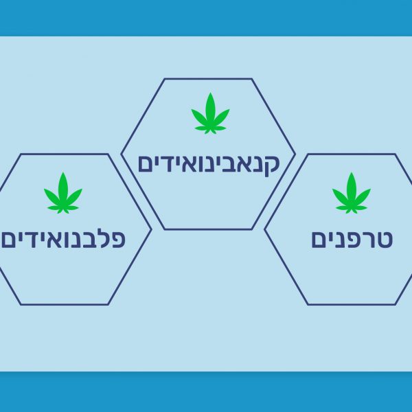 מהו אפקט הפמליה?