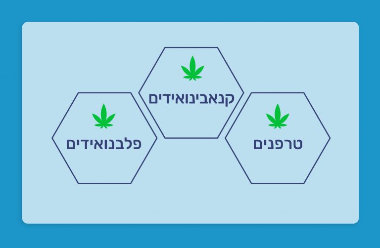 מהו אפקט הפמליה?