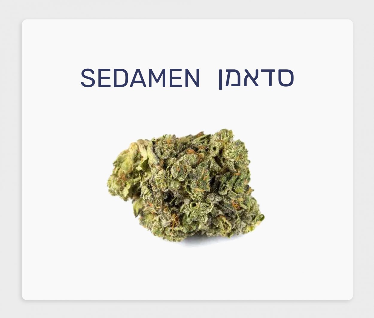 סקירת זן – תפרחת סדאמן T4\C20 אינדיקה