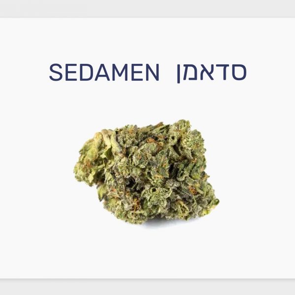 סקירת זן – תפרחת סדאמן T4\C20 אינדיקה