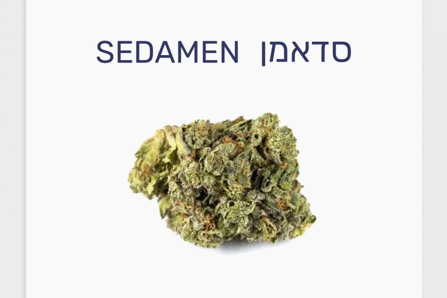 סקירת זן – תפרחת סדאמן T4\C20 אינדיקה