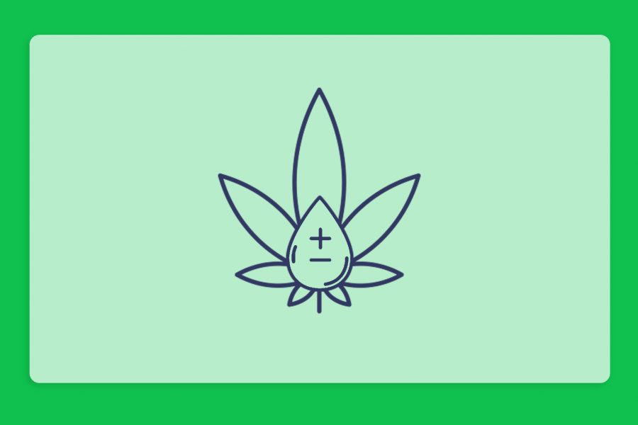 סוכרת וקנאביס רפואי