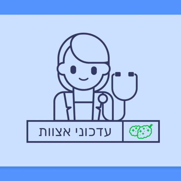 עדכוני אצוות