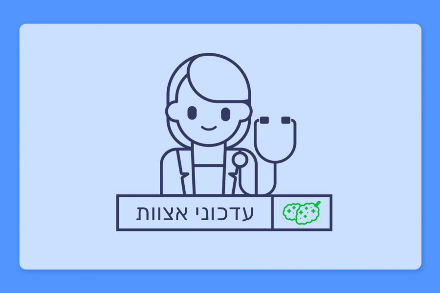עדכוני אצוות