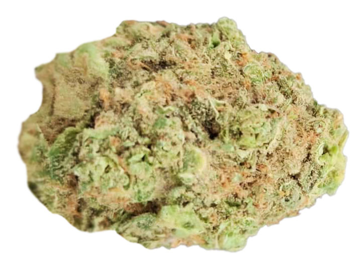 תפרחת קולומבוס