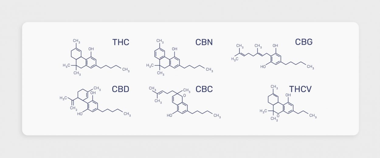 מה הם קנבינואידים?