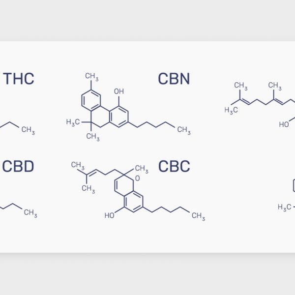 מה הם קנבינואידים?