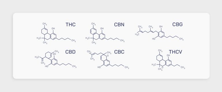 מה הם קנבינואידים?