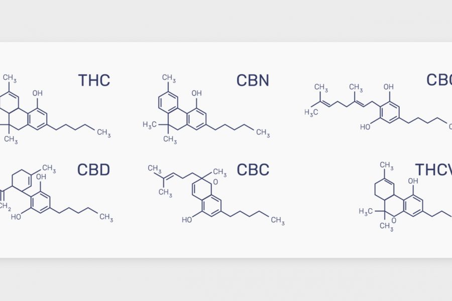 מה הם קנבינואידים?