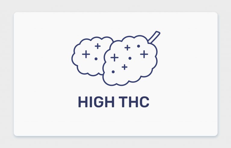 זנים בבתי מרקחת עם THC גבוה (מעל 20%)