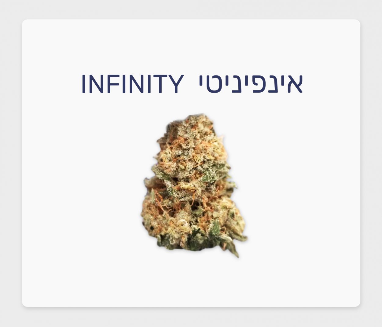 סקירת זן – אינפיניטי T20/C4 היברידי