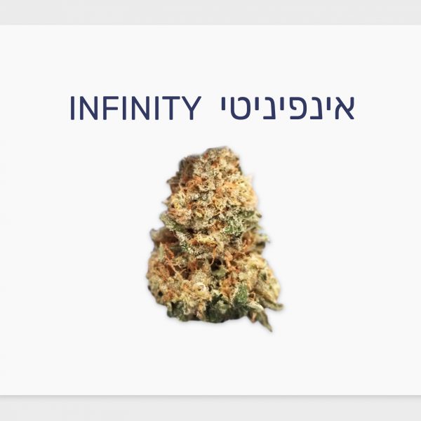 סקירת זן – אינפיניטי T20/C4 היברידי