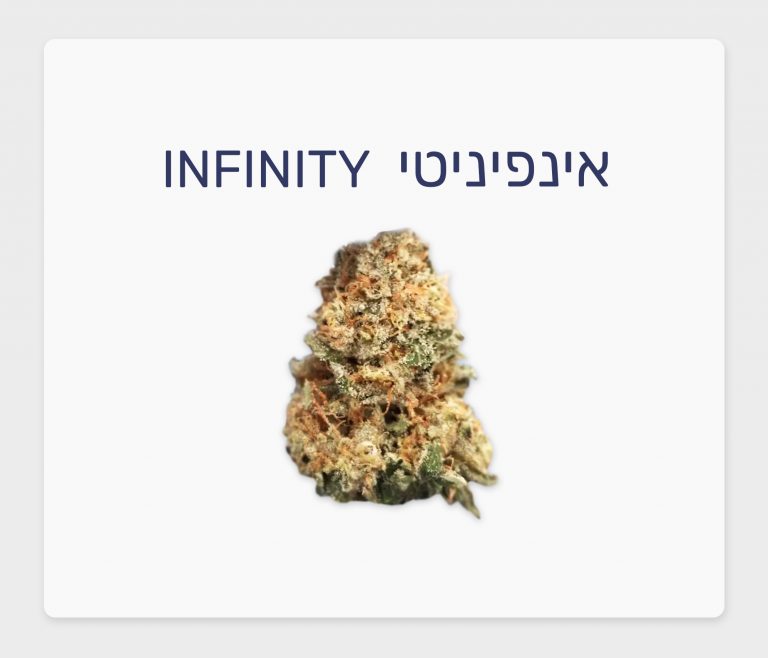 סקירת זן – אינפיניטי T20/C4 היברידי