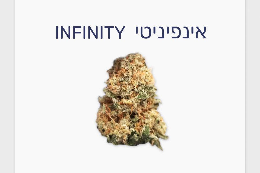 סקירת זן – אינפיניטי T20/C4 היברידי