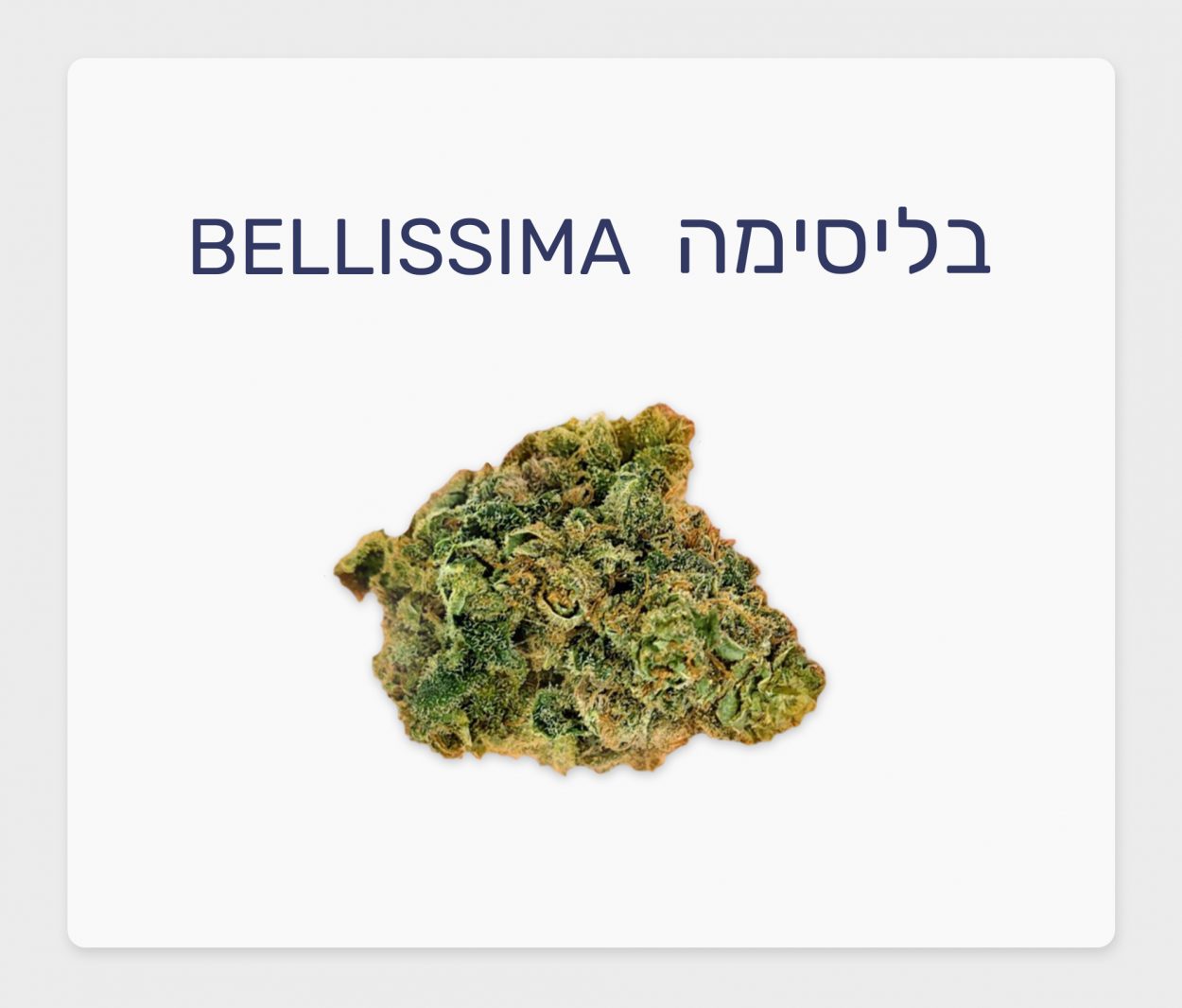 סקירת זן – בליסימה T15/C3 סאטיבה