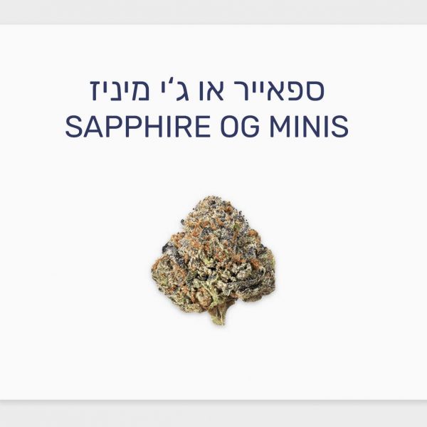 סקירת זן קנאביס רפואי ספאייר או ג'י מיניז – תפרחת T20/C4 היברידי