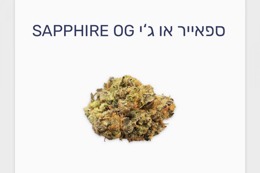 סקירת זן קנאביס רפואי ספאייר או ג'י – תפרחת T20/C4 היברידי