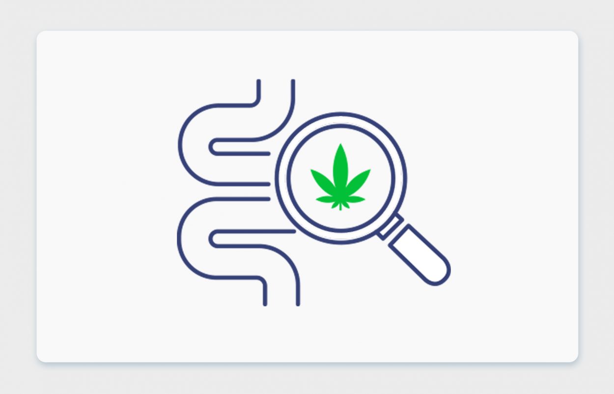 מחלות מעיים דלקתיות וקנאביס רפואי