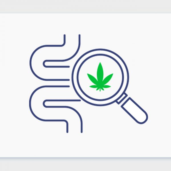 מחלות מעיים דלקתיות וקנאביס רפואי