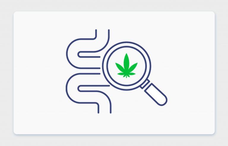 מחלות מעיים דלקתיות וקנאביס רפואי