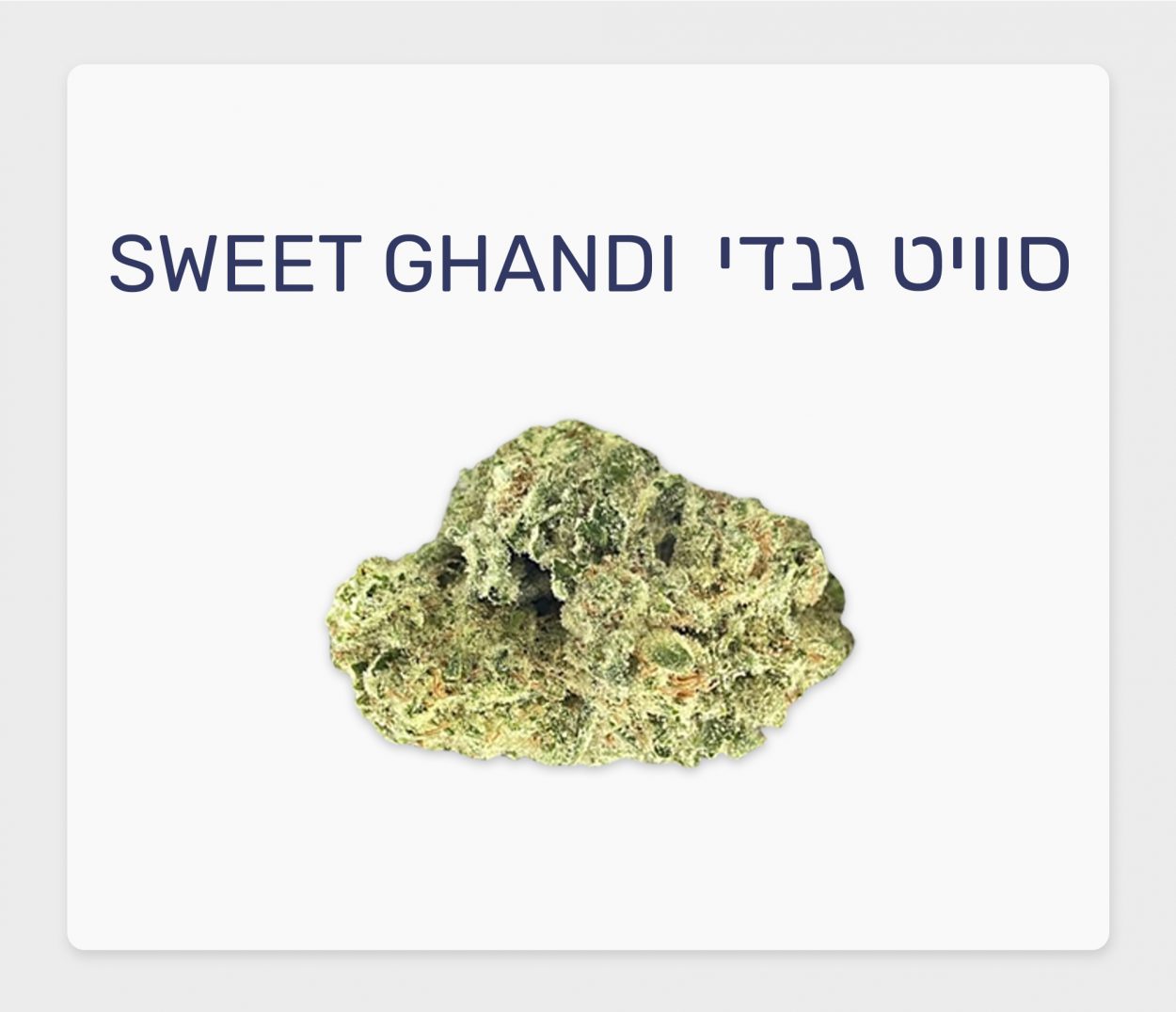 סקירת זן – סוויט גנדי T20/C4 אינדיקה