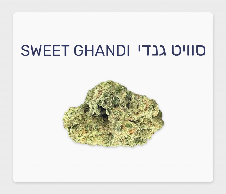 סקירת זן – סוויט גנדי T20/C4 אינדיקה