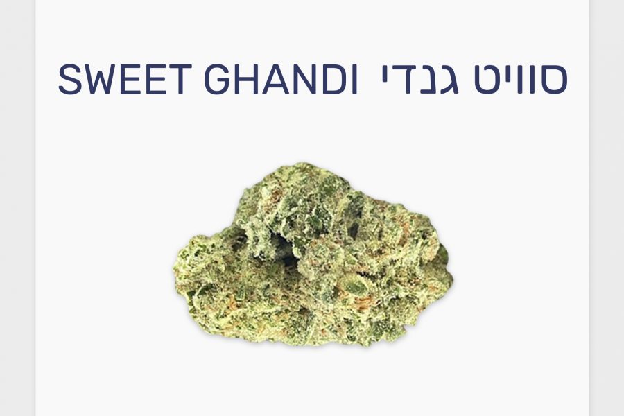סקירת זן – סוויט גנדי T20/C4 אינדיקה