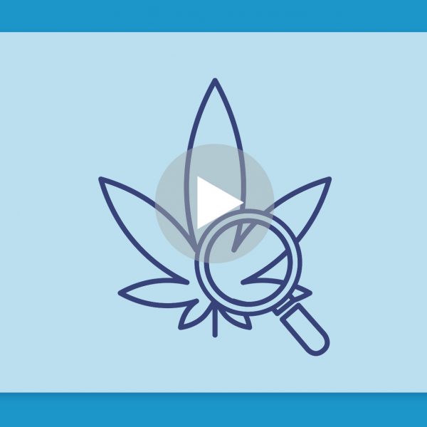 סרטון פתיחת שקית - אדיסון