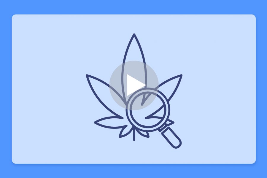 סרטון פתיחת שקית - ג'נגל דרימז