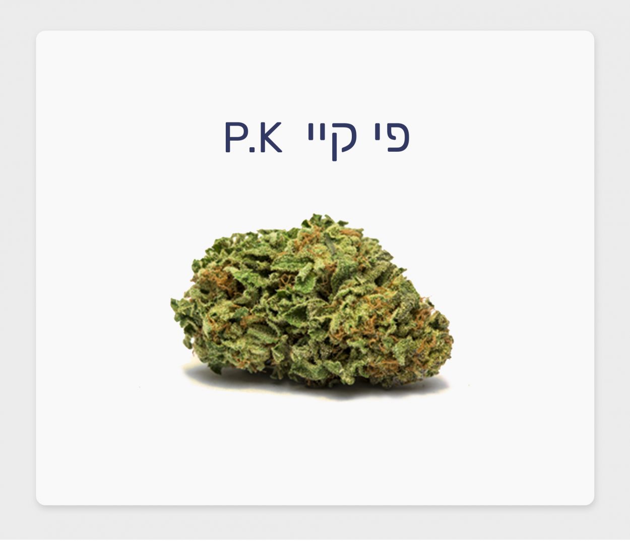 סקירת זן – פי קיי T20/C4 אינדיקה