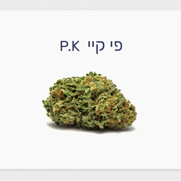 סקירת זן – פי קיי T20/C4 אינדיקה