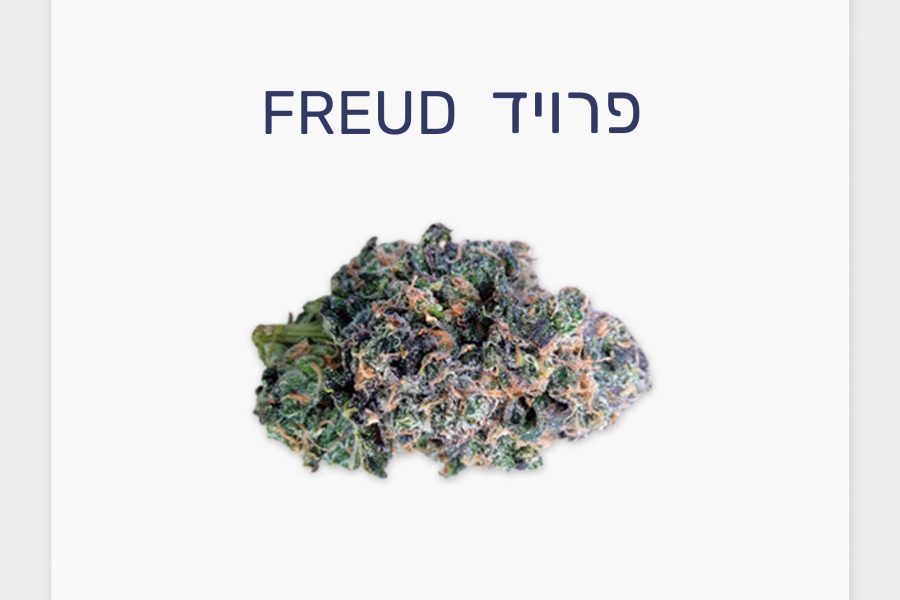 סקירת זן – פרויד T20/C4 סאטיבה היברידית