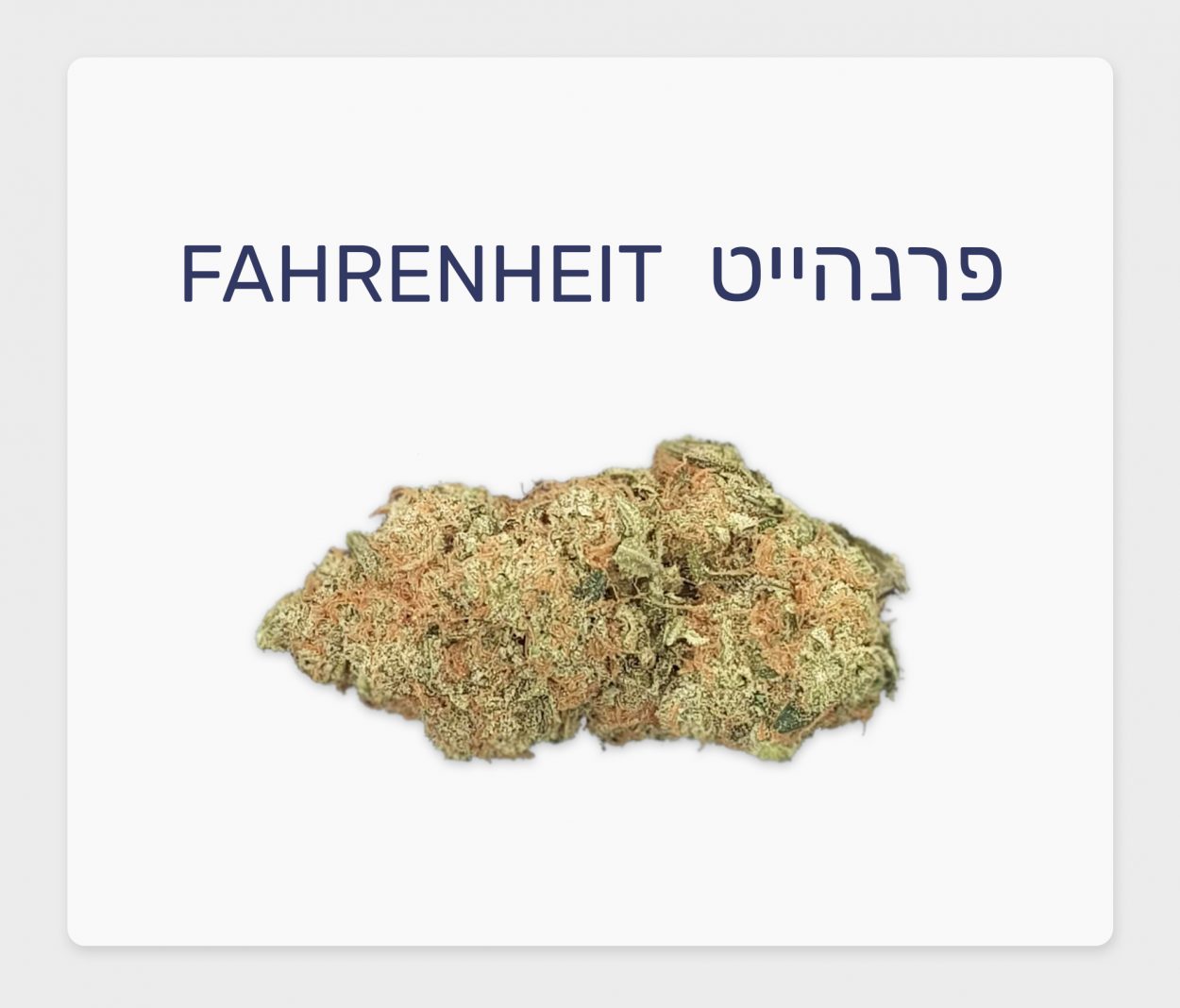 סקירת זן – פרנהייט T20/C4 היברידי