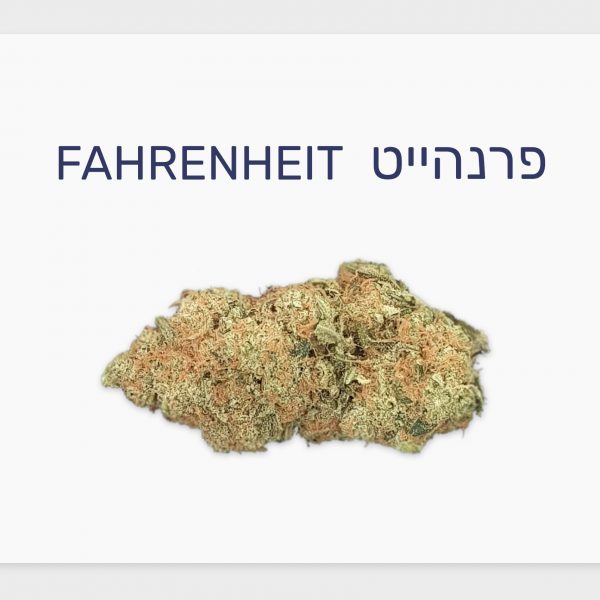 סקירת זן – פרנהייט T20/C4 היברידי