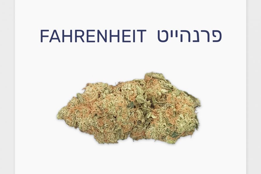 סקירת זן – פרנהייט T20/C4 היברידי