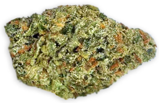 תפרחת קאלו קווין