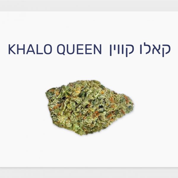 סקירת זן – קאלו קווין T20/C4 סאטיבה