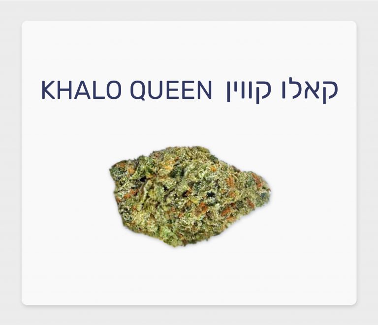 סקירת זן – קאלו קווין T20/C4 סאטיבה