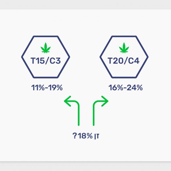 מדוע זן משתייך לקטגוריה T20 או T15 כאשר הוא בטווח של 16%-19%?